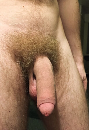 soft hairy cock